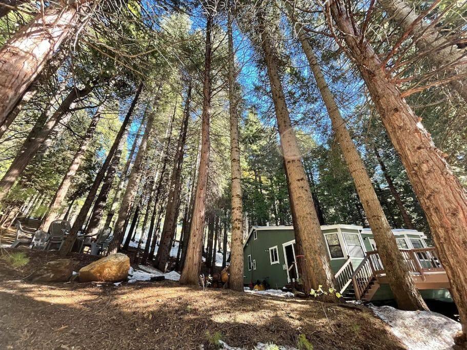 Cedar Oasis - Home Base To Big Trees Arnold Eksteriør bilde