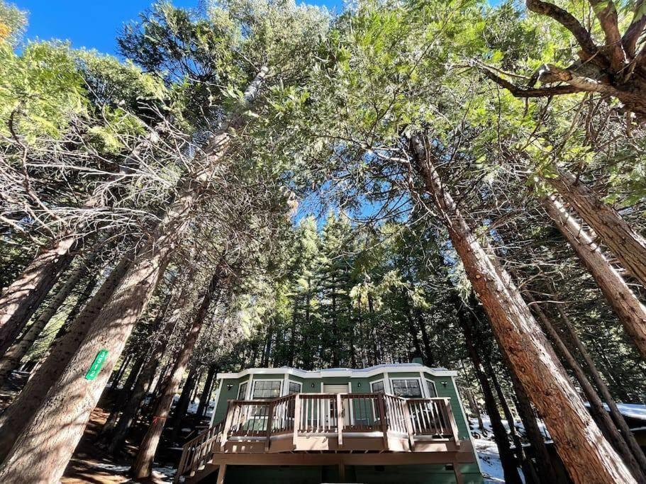 Cedar Oasis - Home Base To Big Trees Arnold Eksteriør bilde